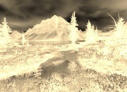 Sepia + Negatyw