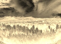 Sepia + Negatyw