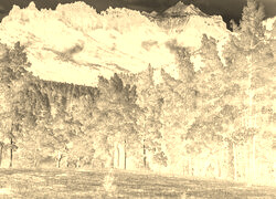Sepia + Negatyw