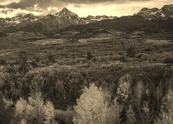 Sepia