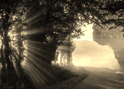 Sepia