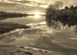 Sepia