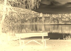 Sepia + Negatyw