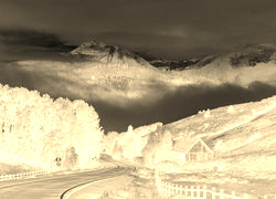 Sepia + Negatyw