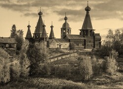 Szary + Sepia