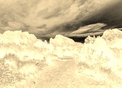 Sepia + Negatyw