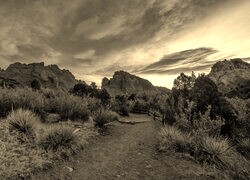 Sepia