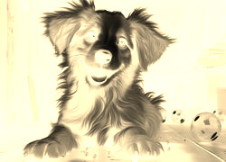 Sepia + Negatyw