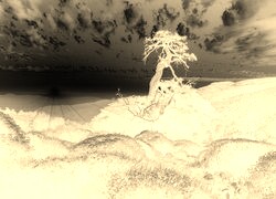 Sepia + Negatyw