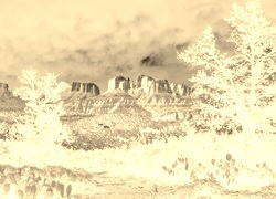 Sepia + Negatyw