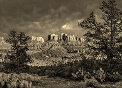 Szary + Sepia