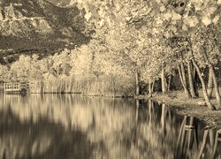 Szary + Sepia