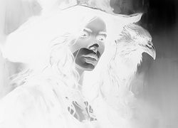 Szary + Negatyw