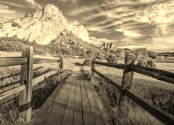 Szary + Sepia