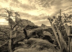 Sepia