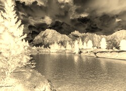 Sepia + Negatyw