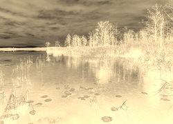 Sepia + Negatyw