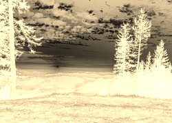 Sepia + Negatyw