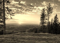 Szary + Sepia