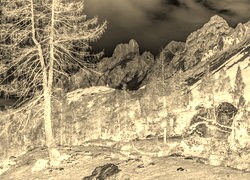 Sepia + Negatyw
