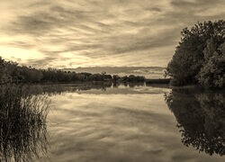Szary + Sepia