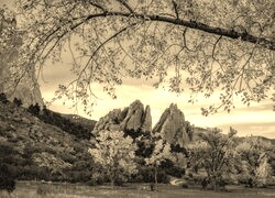 Szary + Sepia