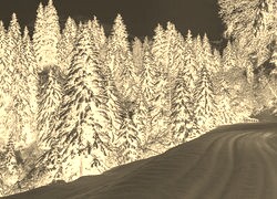 Sepia + Negatyw