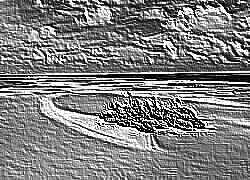 Skamielina