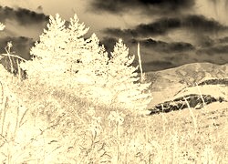Sepia + Negatyw