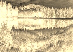 Sepia + Negatyw