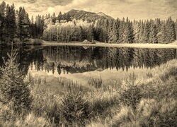 Szary + Sepia