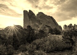 Sepia