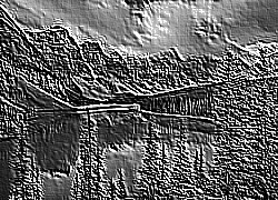 Skamielina