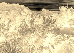Sepia + Negatyw