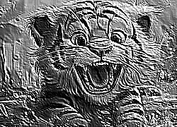Skamielina