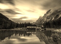 Szary + Sepia
