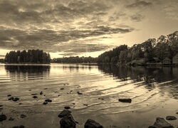 Szary + Sepia