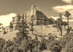 Sepia
