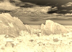 Sepia + Negatyw
