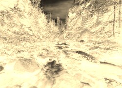 Sepia + Negatyw