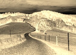 Sepia + Negatyw