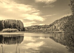Szary + Sepia