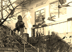 Szary + Sepia