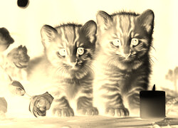 Sepia + Negatyw