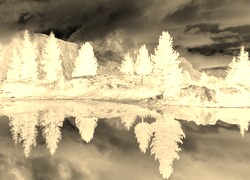 Sepia + Negatyw
