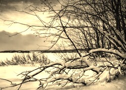 Szary + Sepia