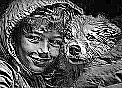 Skamielina