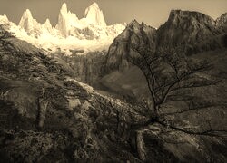 Szary + Sepia
