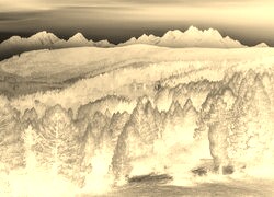 Sepia + Negatyw