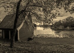 Szary + Sepia